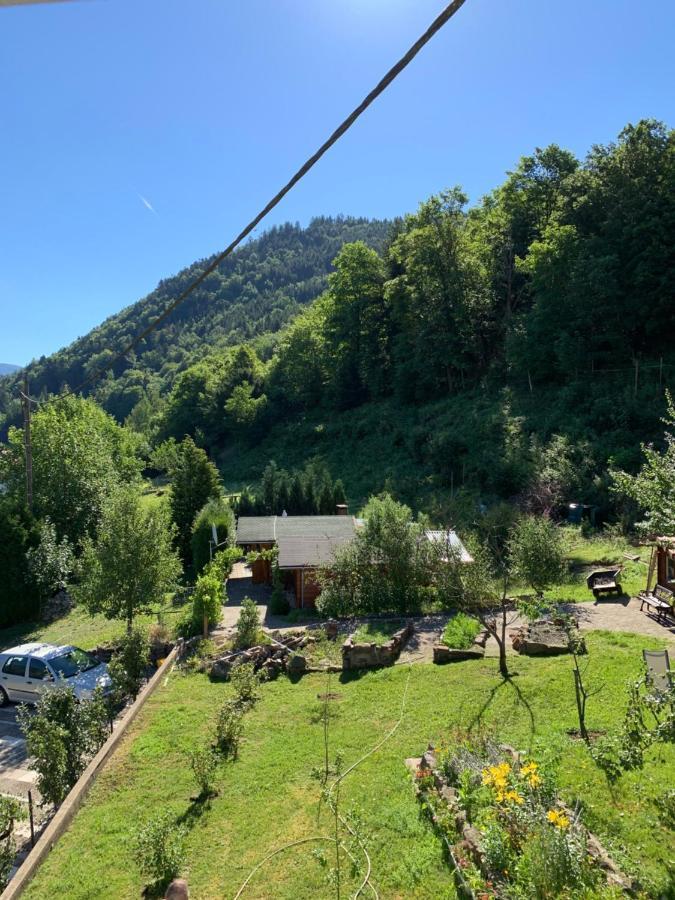 Chalet rustique, 3pièces, jusqu'à 6 personnes Urbès Esterno foto