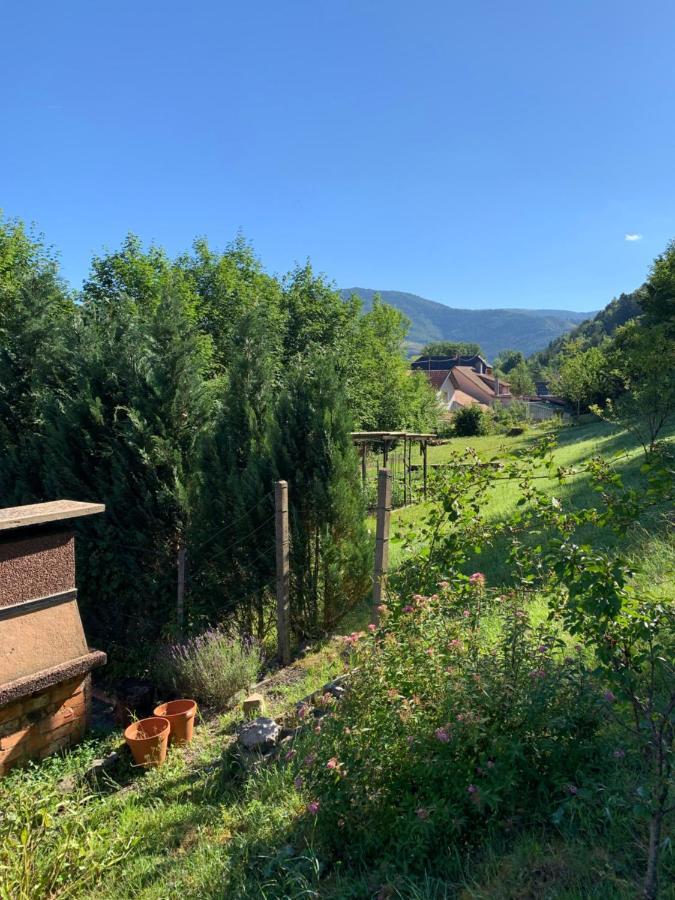 Chalet rustique, 3pièces, jusqu'à 6 personnes Urbès Esterno foto
